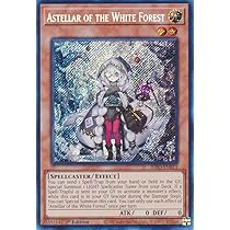 PSA 10 白き森のアステーリャ 遊戯王 25th シークレットレア 遊戯王オフィシャルカードゲーム デュエルモンスターズ 遊戯王